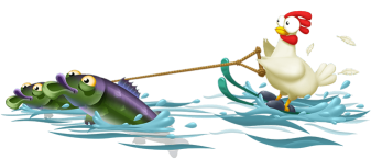 Surfing