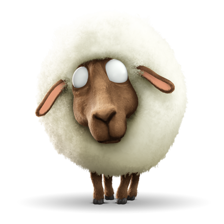 Sheep